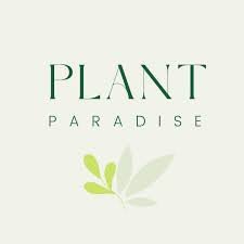 SKN Plant Paradise Pvt Ltd