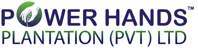 Power Hands Plantation